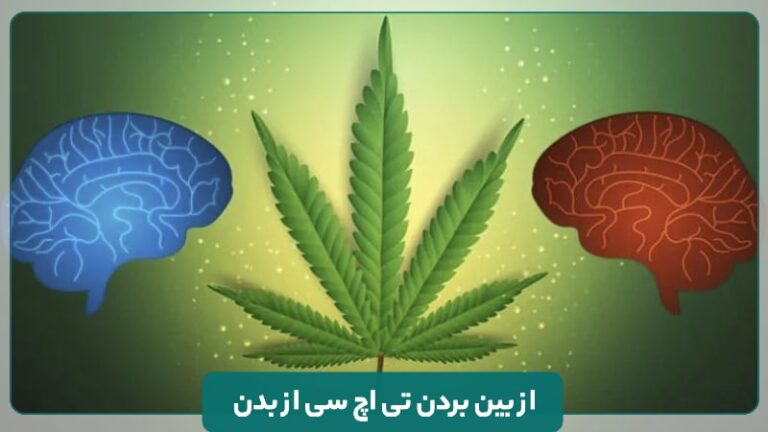 ازبینبردن تی اچ سی از بدن